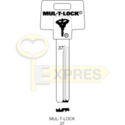 MUL-T-LOCK 37