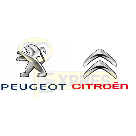 Oprogramowanie - Peugeot/Citroen - OPR-ASSET002