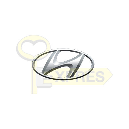 Oprogramowanie - Hyundai - OPR-ASSET011