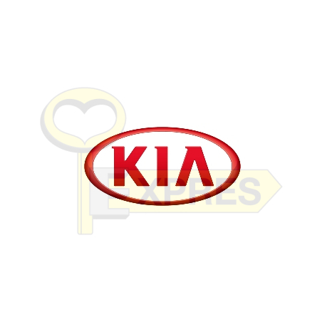 Software - Kia