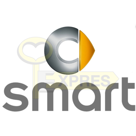 Oprogramowanie - Smart - OPR-ASSET009