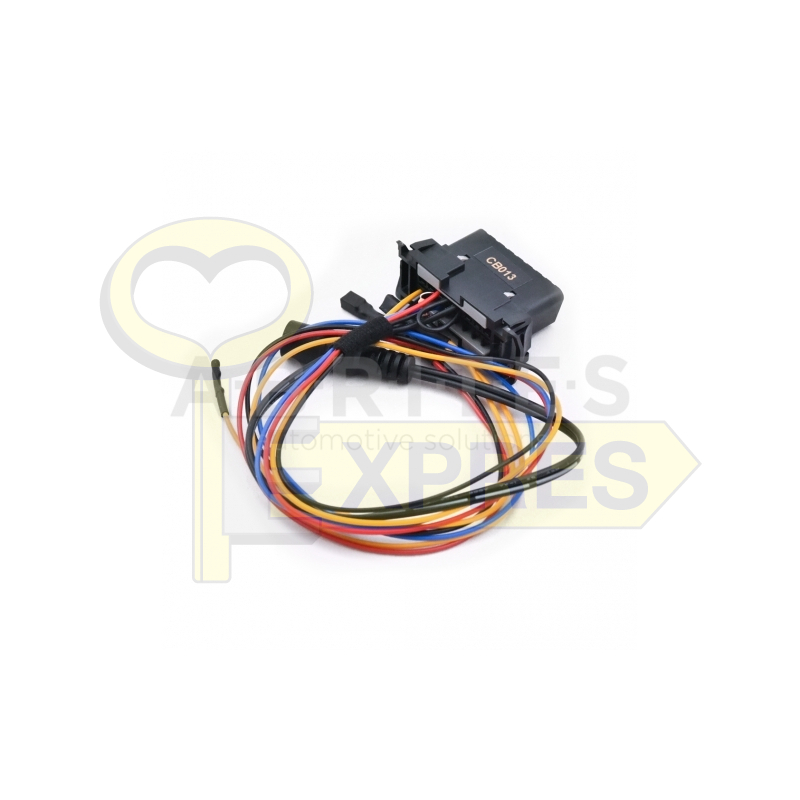 CB013 - MSD/MSV bench connection cable set