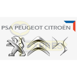 Software - Peugeot Citroen...
