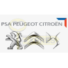 Software - Peugeot Citroen Electric (PSA)