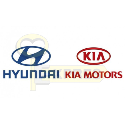 Oprogramowanie - Hyundai/Kia 2022 - OPR-ASSET024