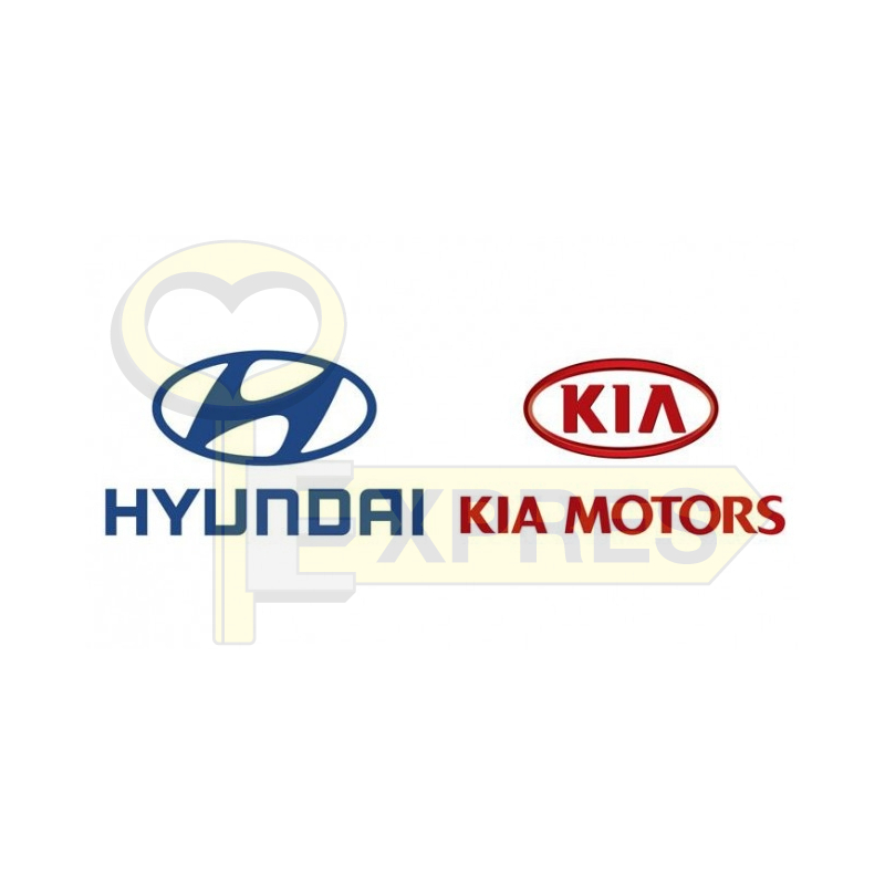 Software - Hyundai/Kia 2022