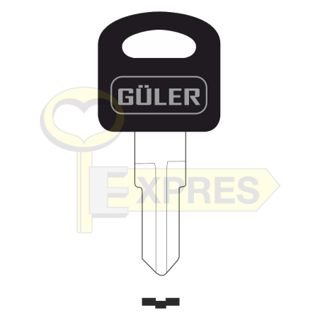 ARM6P Guler